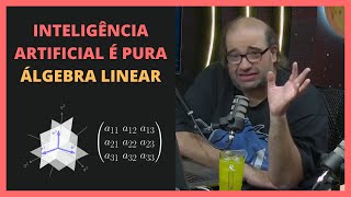 A MATEMÁTICA DE UM MODELO DE REDE NEURAL  Felipe Hime e Sapiens Chat [upl. by Yllac]