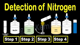 Detection of Nitrogen by Lassaignes Solution  Class 12 Chemistry Detection of Elements [upl. by Tallbott]