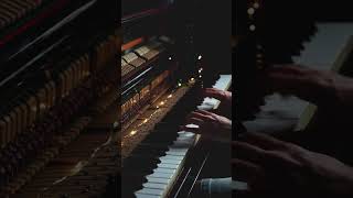 Passacaglia Piano Cover composer piano music pianocover pianist [upl. by Niassuh]