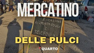 Mercatino delle Pulci a QUARTO ⚠️ATTENZIONE⚠️ [upl. by Orgalim]