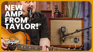 Circa 74 Amp Taylor’s Acoustic amp Vocal Performance Amp [upl. by Simson]