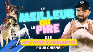 STIMULER votre CHIEN  Meilleures idées ⚡️ Pires idées ya des surprises [upl. by Nerti]