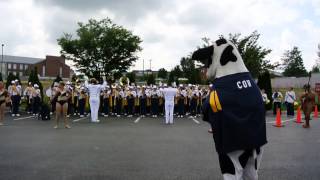 WVU Band  Hail West Virginia [upl. by Paulita]