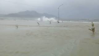 SUPER TYPHOON ODETTE  Storm Surge and Flood at Dinagat Islands Libjo Boulevard [upl. by Ahsinev204]