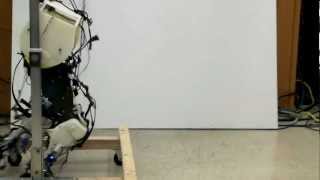 Biologically accurate robot walking legs [upl. by Yrellav]