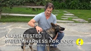 EzyDog Quick Fit Dog Harness [upl. by Saltzman850]