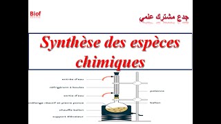 Synthèse des espèces chimiques  Tronc commun تصنيع الأنواع الكيميائية جدع مشترك علمي [upl. by Acilgna]