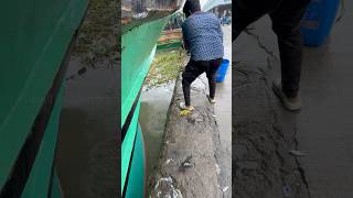 Huge Mille fishing in boat side water mulletfishing fishingvideos ng [upl. by Yeargain588]