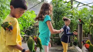 Brevard Zoo bird feeding 1 [upl. by Sieber]