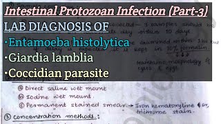 Intestinal Protozoan Infection Part3  Lab diagnosis of Ehistolytica Glamblia Coccidian paras [upl. by Bashemath]