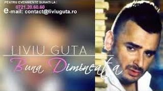 LIVIU GUTA  BUNA DIMINEATA  AUDIO [upl. by Eniortna]