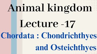 Chondrichthyes and Osteichthyes Animal kingdom Lecture  17 [upl. by Nosyt]