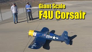 Dale amp Gerald Top Flight Giant Scale F4U Corsair Saturday November 2 2024 [upl. by Ajit]