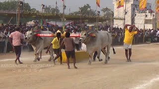 Mellacheruvu edla pandhalu live Day4 [upl. by Enohs]