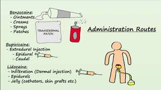 Local Anesthetics  Mechanism Indications amp Side Effects [upl. by Shaer]