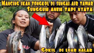 ANEH TAPI NYATA IKAN TONGKOL HIDUP DI SUNGAI AIR TAWAR [upl. by Valorie]