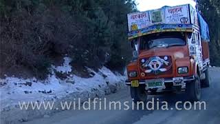 Winter snow at Mashobra en route Shimla  denuded deforested barren slopes [upl. by Yerok]