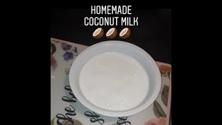 HOMEMADE COCONUT MILK  DR SEBI APPROVED  500 Calories Per Cup  TrudyPop [upl. by Hewart437]