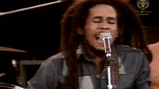 Rastaman Vibration  BOB MARLEY  CONCERT SANTA BARBARA 1979 [upl. by Yetsirhc]