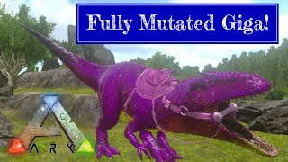 THE FULLY MUTATED GIGA  Ark Survival Evolved [upl. by Milone637]