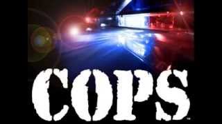 cops tv show full theme song [upl. by Arag100]