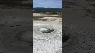 Yellowstone Geyser [upl. by Lam464]