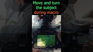 Move and turn the subject during macro photography shorts [upl. by Adlee]