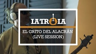 El Grito del Alacrán Live Session  La Trola [upl. by Gaelan]