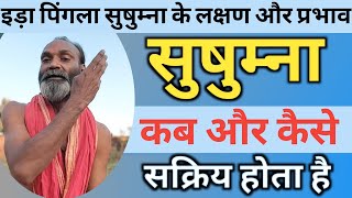 सुषुम्ना कब और कैसे सक्रिय होता है  Ida Pingala Sushumna Ke Laxan  Sushumna Nadi [upl. by Schober955]