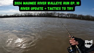 Maumee River Walleye Run 2024 Ep 10  River Update  Tactics To Try [upl. by Carol-Jean656]