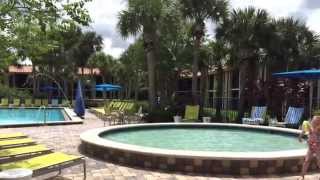 DoubleTree by Hilton Orlando at SeaWorld Hotel Tour [upl. by Ermengarde]