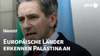 Irland Spanien und Norwegen erkennen Staat Palästina an  AFP [upl. by Selegna]