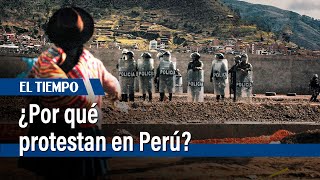 Protestas en Perú ¿Por qué piden la renuncia de la presidenta Dina Boluarte  El Tiempo [upl. by Nehte]