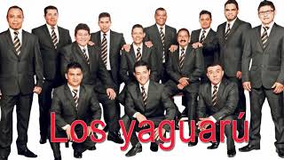 Los Yaguarú Sus Grandes Exitos  20 Mejores Canciones Mix Cumbias Éxitos 2021 [upl. by Kirkpatrick203]