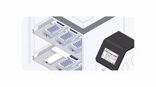 OrganonChip Studies Workflow 26 Cell Culture with PhysioMimix T1 from CN Bio [upl. by Onairot]