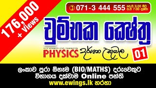 Electric Fields  A Level Physics [upl. by Lorimer573]