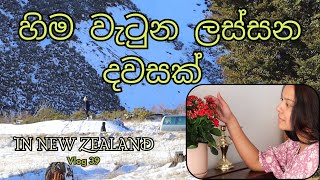 අපිටත් හිම වැටුන  😍  සිංහල VLOG 39  New Zealand  Sri Lankan  Sinhala vlog [upl. by Jamila]