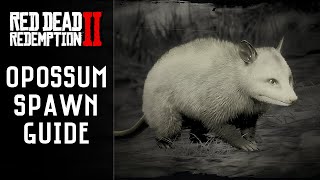 Red Dead Redemption 2  Virginia Opossum Location  Master Hunter 9 RDR2 [upl. by Homer]