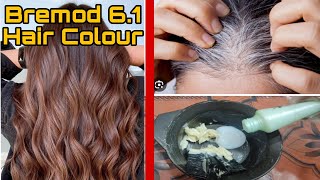 Bremod 61 hair colour demonstration and results  Bremod hair colour review  Dark brown hairs [upl. by Buckingham61]