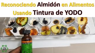 Experimento para identificar almidón en los alimentos [upl. by Swarts277]