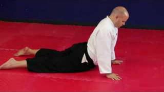 Aikido Exercises amp Stretches  The Aikido Cobra Stretch [upl. by Yrannav]