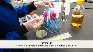 Determination of the Minimum Inhibitory Concentration of an antibiotic [upl. by Clausen]