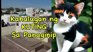 KAHULUGAN NG KUTING SA PANAGINIP [upl. by Drusi858]