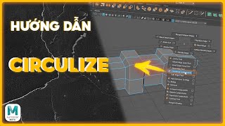 Tự Học 3D Online  Circularize  Hướng dẫn Maya cơ bản maya [upl. by Anehsak]