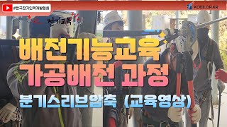 배전기능교육 가공배전10일 과정  분기스리브 압축 교육영상 [upl. by Yul]