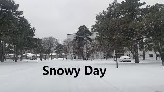 Recent snow in Toronto  Video  On the highway 401 Canada [upl. by Carlos]