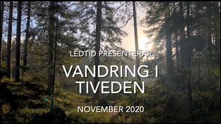 Vandring i Tiveden  November 2020 [upl. by Yerbua]