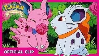 Nidoran in love  Pokémon Adventures in the Orange Islands  Official Clip [upl. by Eleni]