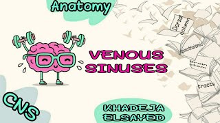 VENOUS SINUSES [upl. by Assirhc]