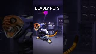 PETS COMPARISON 😈😈vs🥰🥰 [upl. by Lladnor]